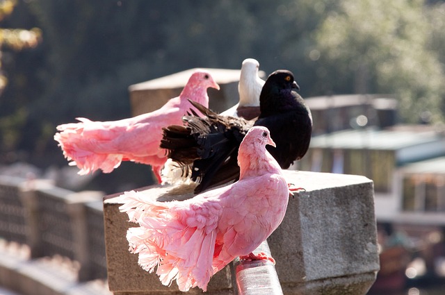 巴萨新星连续爆发惊艳球迷