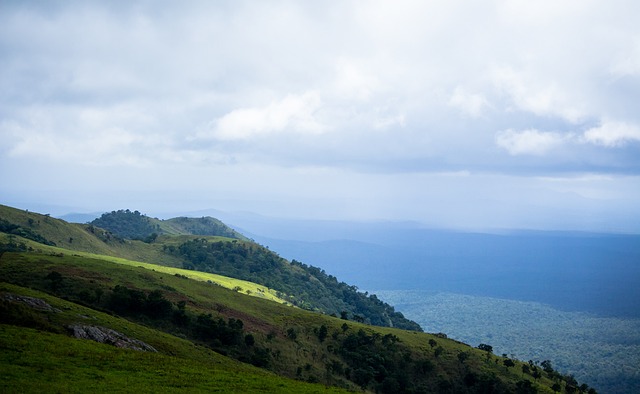 绪受判