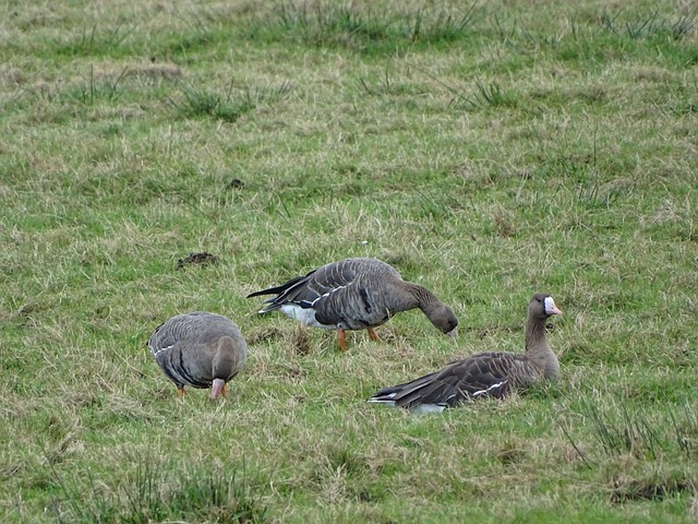 图拉姆：大家都说国米更强，但米兰有优秀球员和最强门将之一