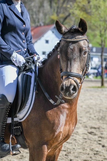 利雅得胜利2-1逆转费哈，C罗双响+补时第14分钟点射绝杀