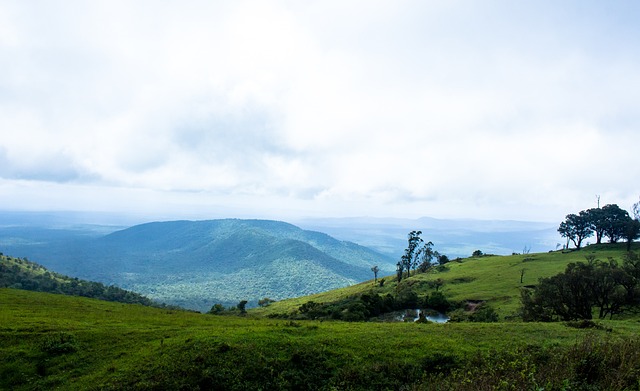 国安心态稳备战决赛，全队已走出亚冠失利阴影