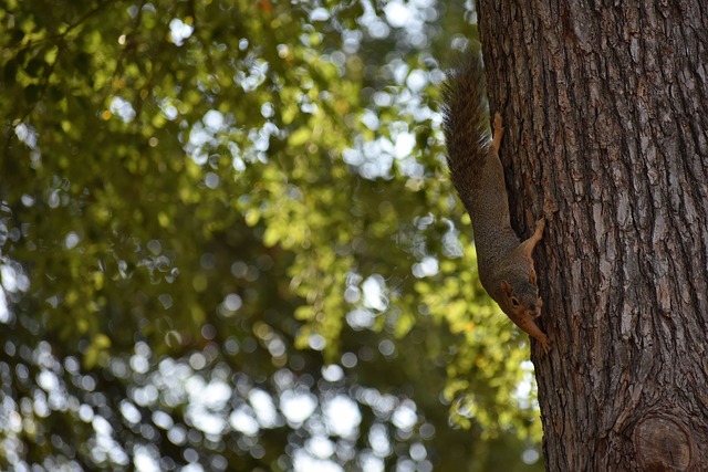 通过有效的 通过有效的