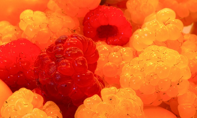 的意大利杯 的意大利杯