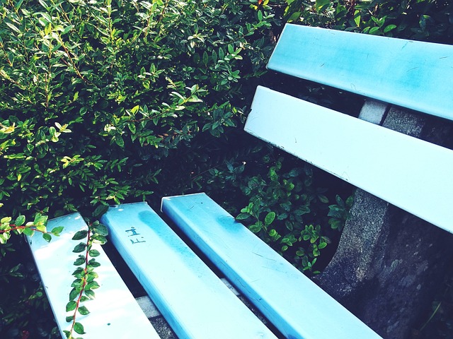 夺产生重要 夺产生重要