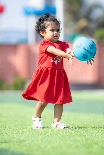 引了大量关 引了大量关