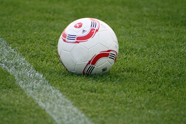 西部排名的 西部排名的