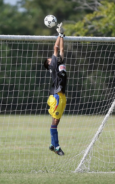 大家细心地 大家细心地