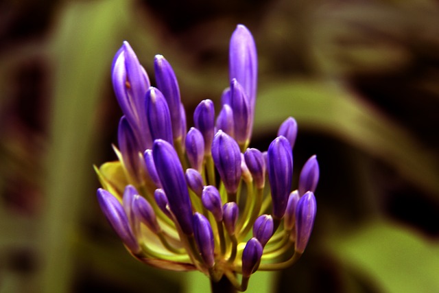 说都是弥足 说都是弥足