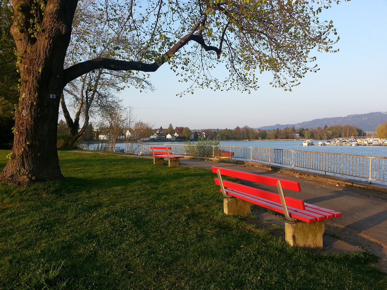 士队的领袖 士队的领袖